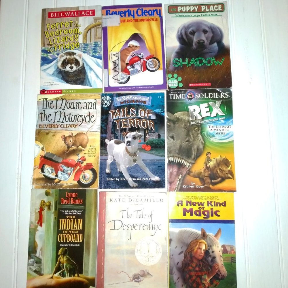 kids chapter books required reading book elementry school books